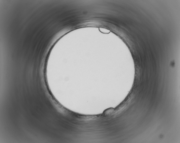 X0000116641426201001251126