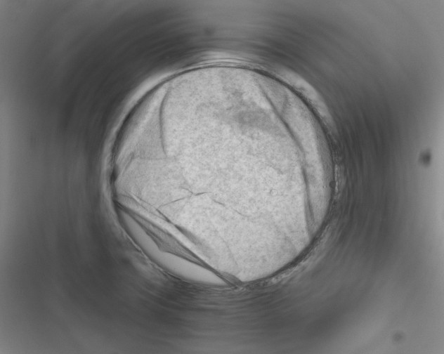 X0000116641427201001251126