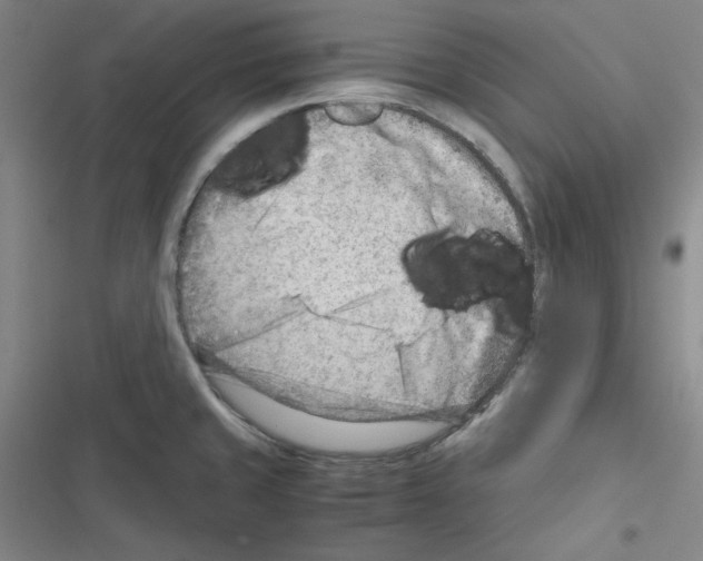 X0000116641429201001251126