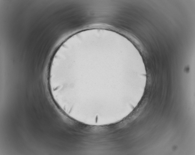 X0000116641430201001251126