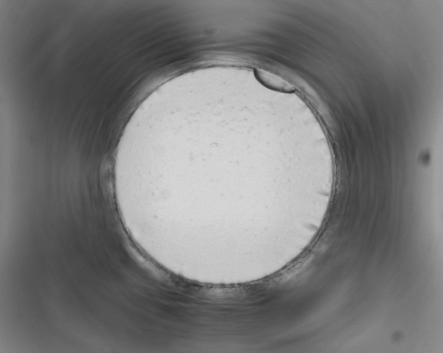 X0000116641433201001251126