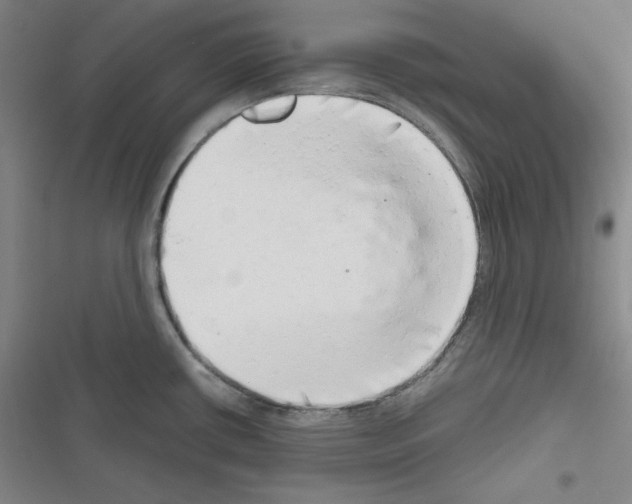 X0000116641434201001251126