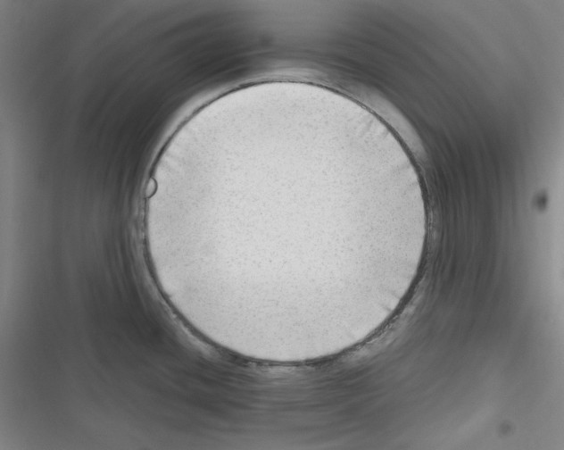 X0000116641436201001251126