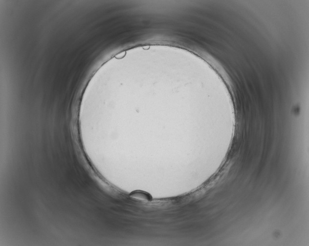 X0000116641437201001251127