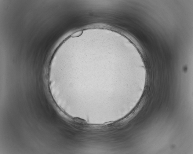 X0000116641438201001251127