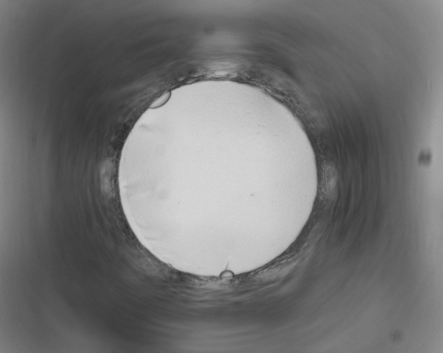 X0000116641442201001251126