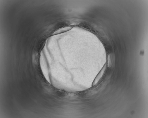 X0000116641443201001251126