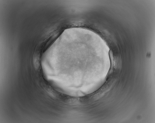 X0000116641444201001251126