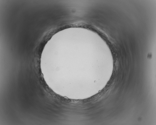 X0000116641447201001251126