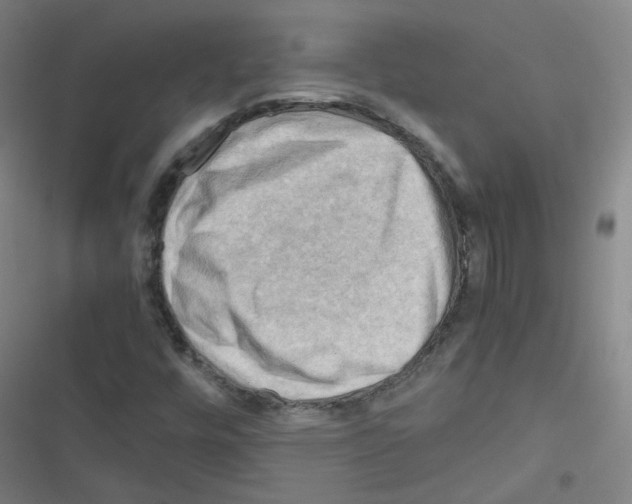 X0000116641448201001251126