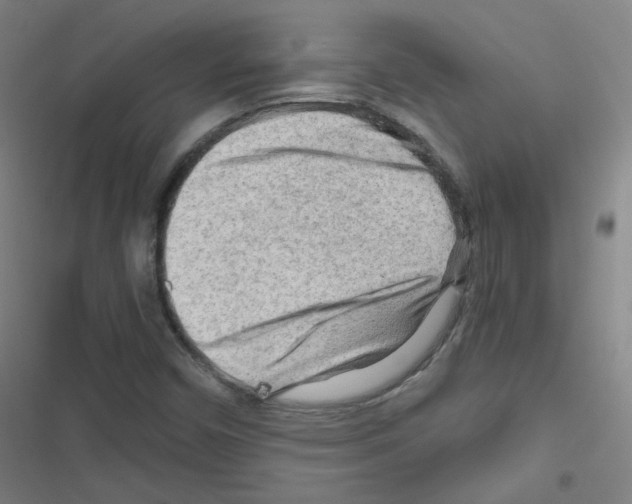 X0000116641450201001251126