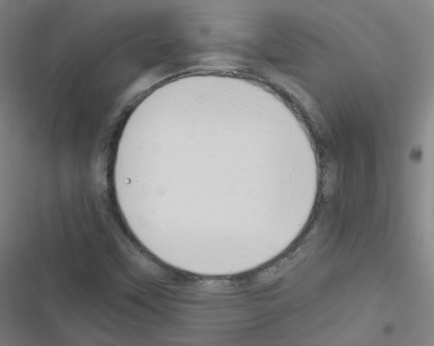 X0000116641451201001251126