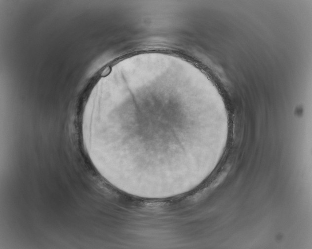 X0000116641453201001251126