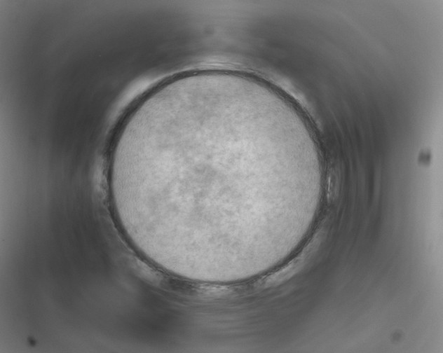 X0000116641454201001251126