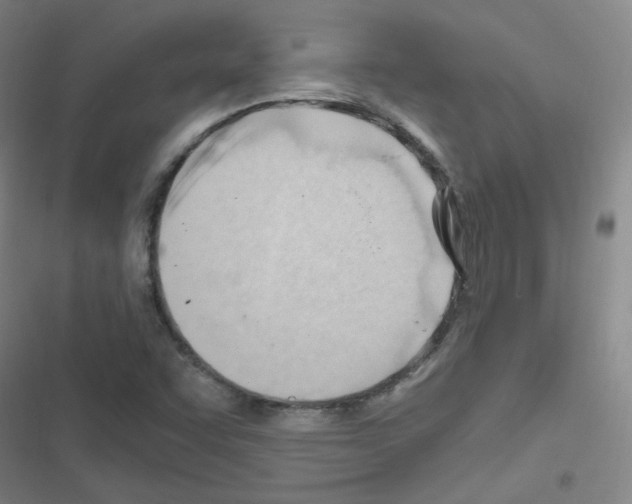 X0000116641455201001251126