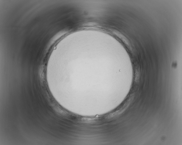 X0000116641458201001251126