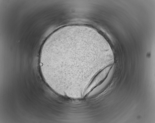 X0000116641459201001251126