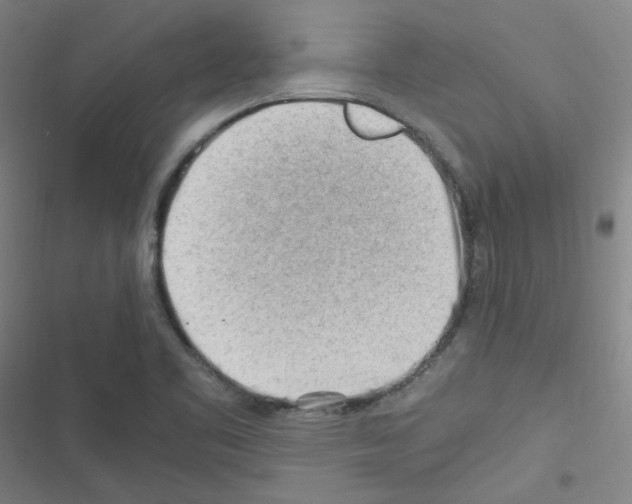 X0000116641461201001251126