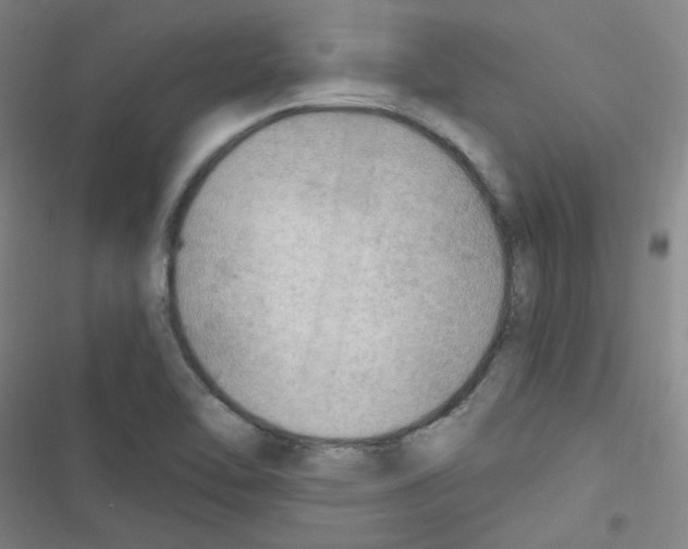 X0000116641462201001251126