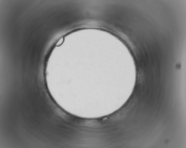 X0000116641464201001251126