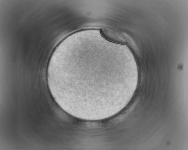 X0000116641465201001251126