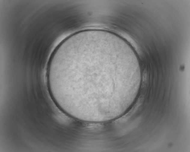 X0000116641466201001251126