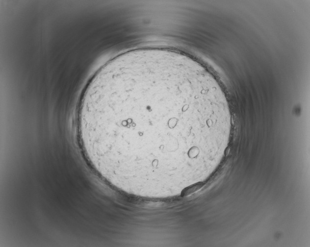 X0000116641467201001251126