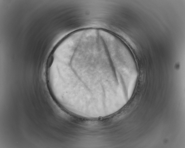 X0000116641468201001251126