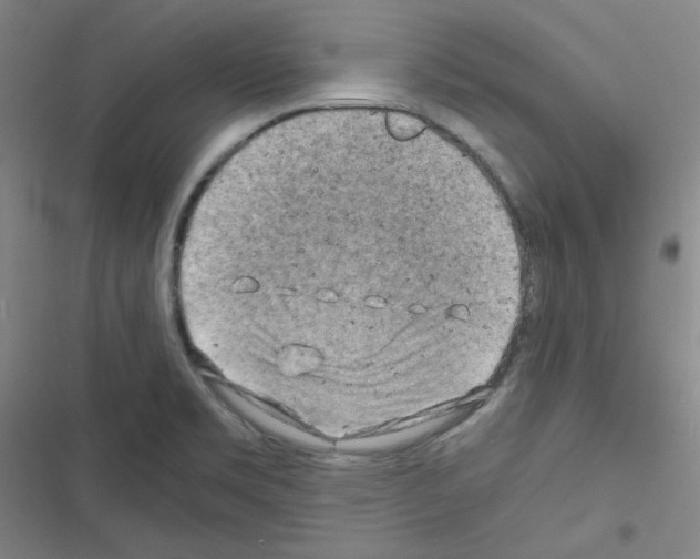 X0000116641469201001251126