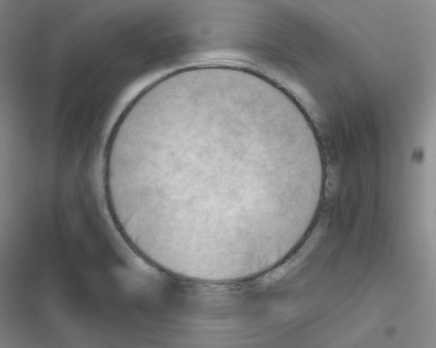 X0000116641470201001251126