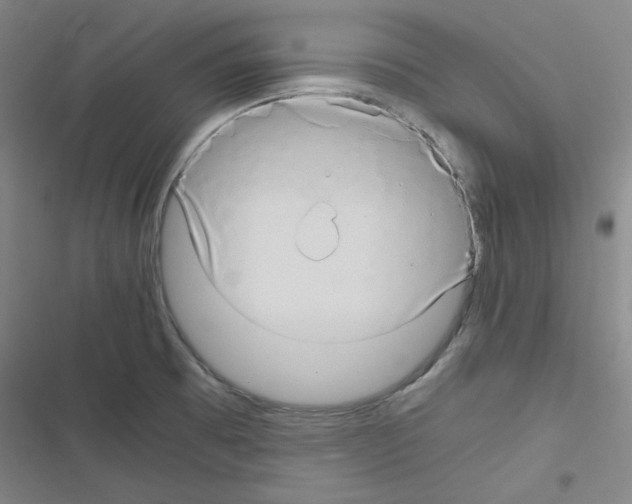 X0000116641473201001251125