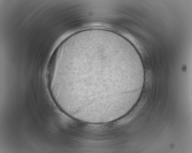 X0000116641474201001251125