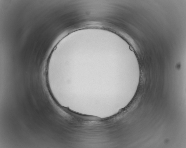 X0000116641475201001251125