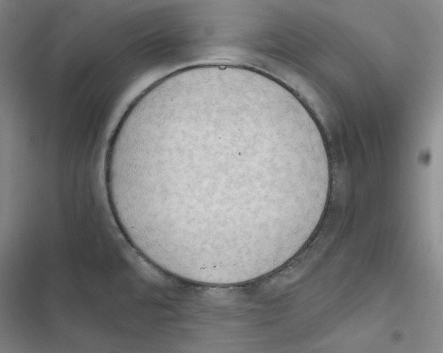 X0000116641480201001251125