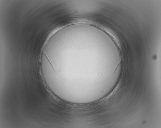 X0000116641481201001251125