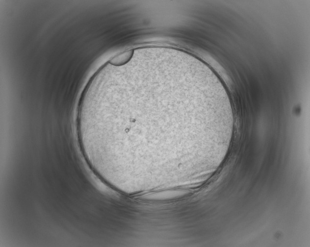 X0000116641482201001251125