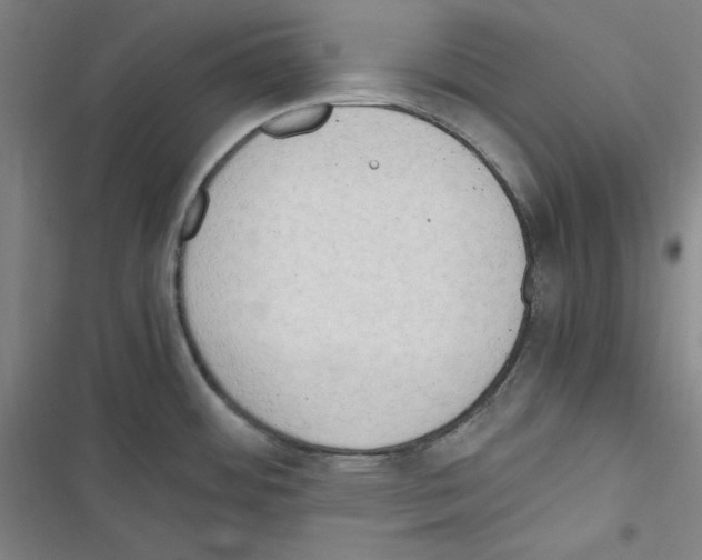 X0000116641484201001251125