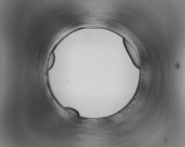 X0000116641485201001251125