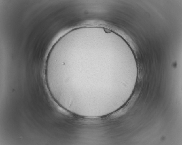 X0000116641486201001251125