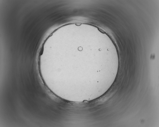 X0000116641488201001251125