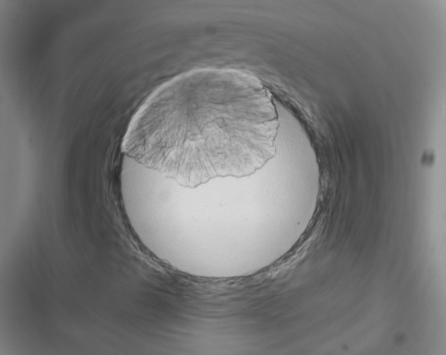 X0000116641489201001251125