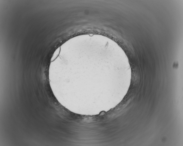 X0000116641490201001251125