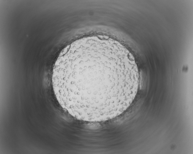 X0000116641491201001251125