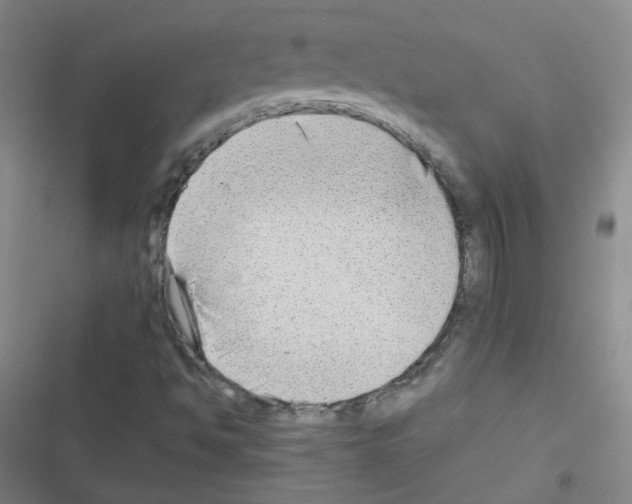 X0000116641494201001251125