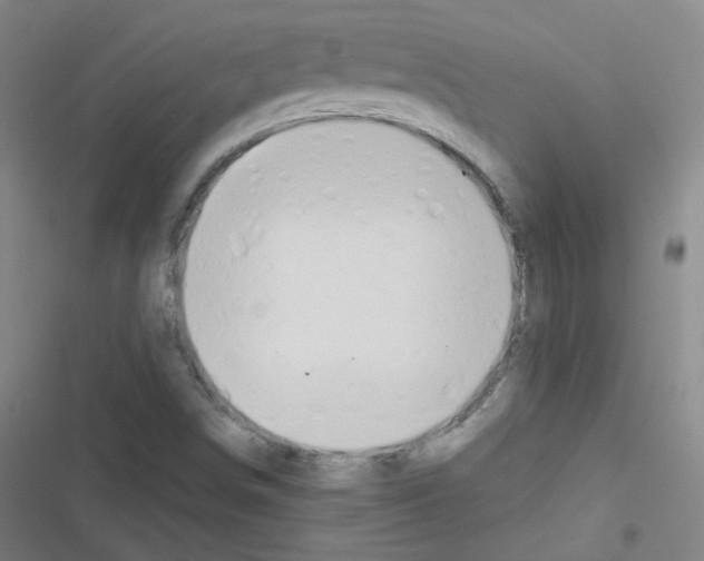 X0000116641498201001251125