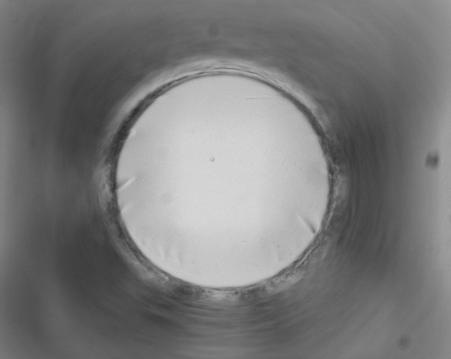 X0000116641503201001251125