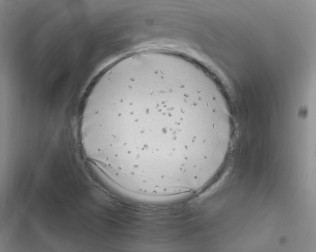 X0000116641505201001251125