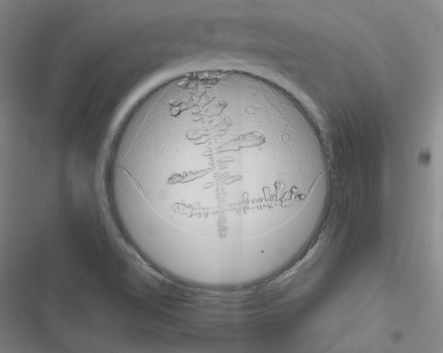 X0000116641510201001251125