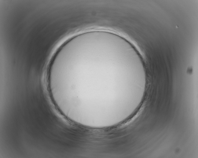 X0000116641511201001251125