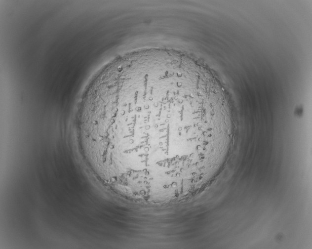 X0000116641514201001251125